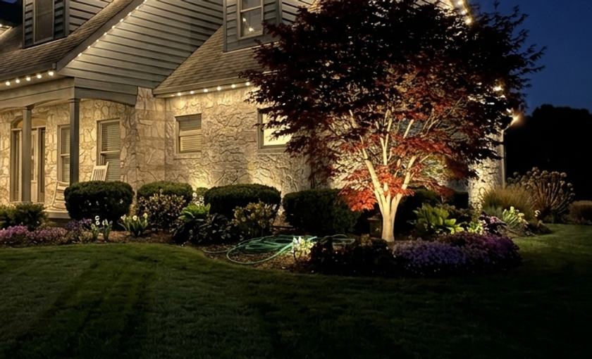Landscape lighting with an uplit tree and garden beds at night